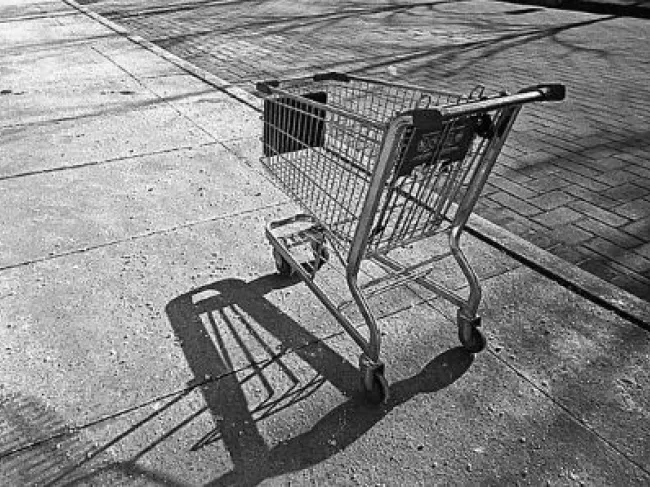 grocery cart